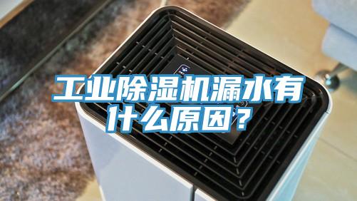 工業(yè)除濕機(jī)漏水有什么原因？