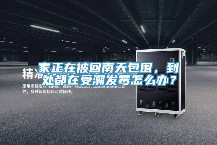 家正在被回南天包圍，到處都在受潮發(fā)霉怎么辦？