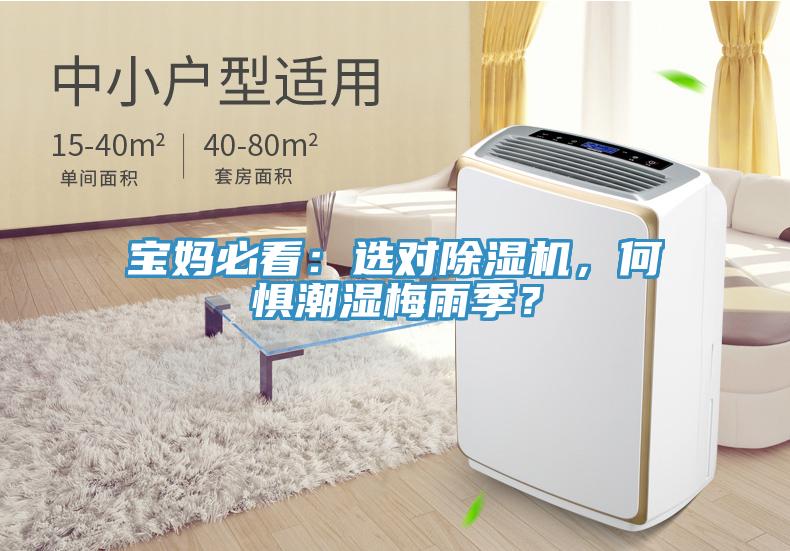 寶媽必看：選對除濕機(jī)，何懼潮濕梅雨季？