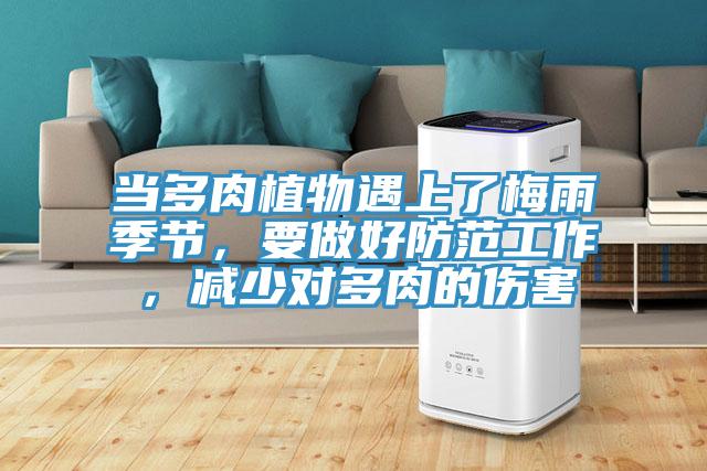 當(dāng)多肉植物遇上了梅雨季節(jié)，要做好防范工作，減少對多肉的傷害