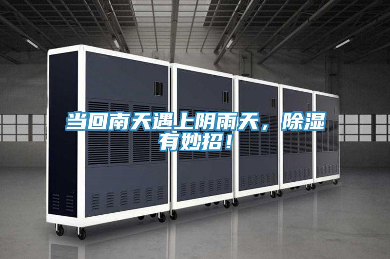 當回南天遇上陰雨天，除濕有妙招！