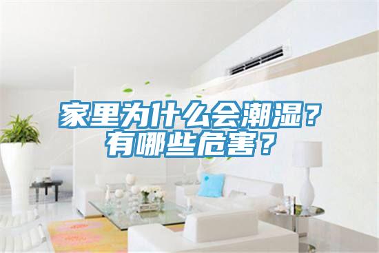 家里為什么會(huì)潮濕？有哪些危害？