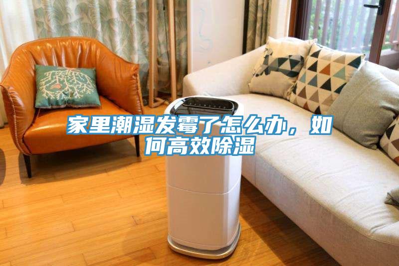 家里潮濕發(fā)霉了怎么辦，如何高效除濕