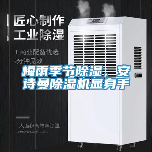 梅雨季節(jié)除濕，安詩曼除濕機顯身手