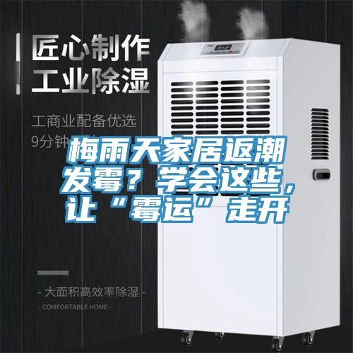 梅雨天家居返潮發(fā)霉？學(xué)會(huì)這些，讓“霉運(yùn)”走開