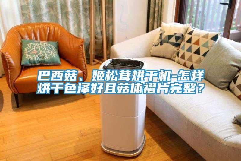 巴西菇、姬松茸烘干機-怎樣烘干色澤好且菇體褶片完整？