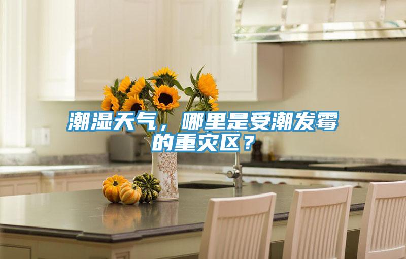 潮濕天氣，哪里是受潮發(fā)霉的重災(zāi)區(qū)？