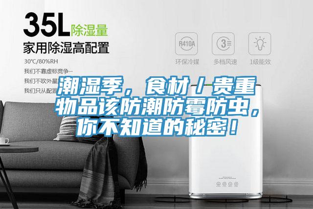 潮濕季，食材／貴重物品該防潮防霉防蟲，你不知道的秘密！
