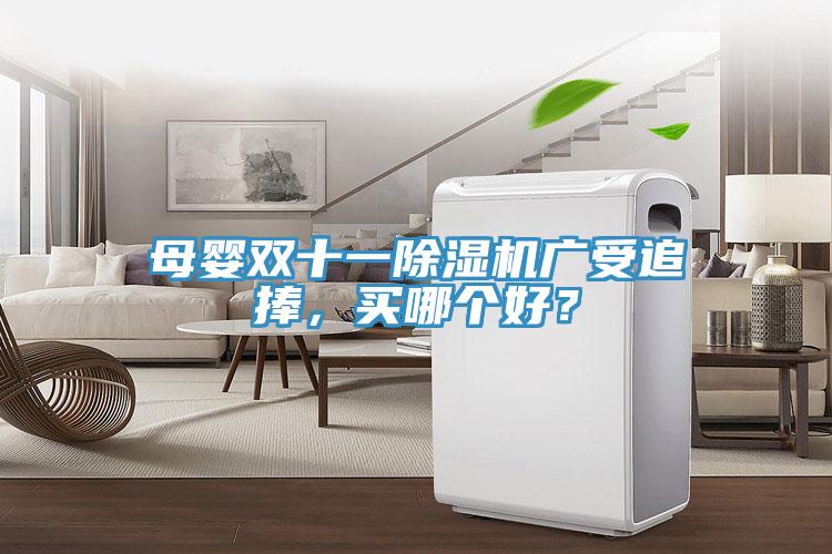 母嬰雙十一除濕機(jī)廣受追捧，買哪個(gè)好？
