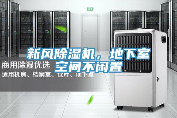 新風(fēng)除濕機(jī),地下室空間不閑置