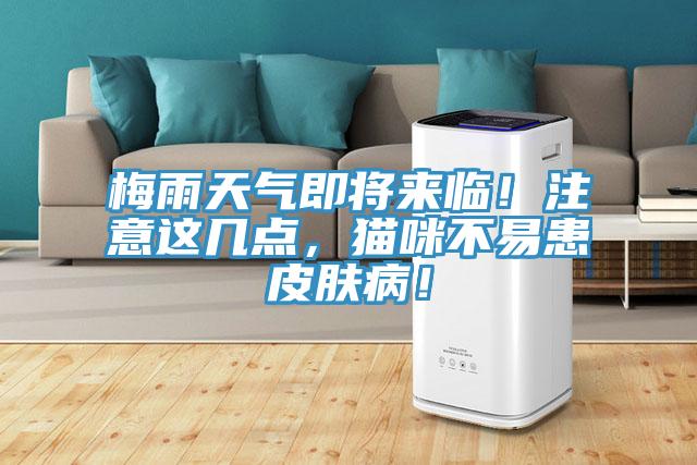 梅雨天氣即將來臨！注意這幾點(diǎn)，貓咪不易患皮膚?。?/></p>
                            <p style=