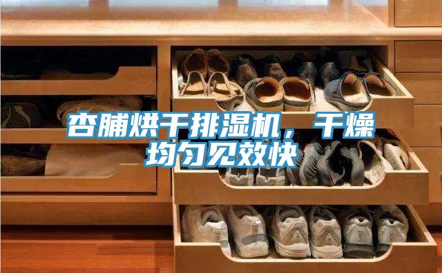 杏脯烘干排濕機，干燥均勻見效快