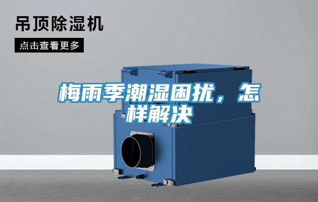 梅雨季潮濕困擾，怎樣解決