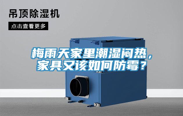 梅雨天家里潮濕悶熱，家具又該如何防霉？