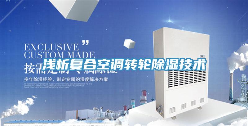 淺析復合空調(diào)轉(zhuǎn)輪除濕技術(shù)
