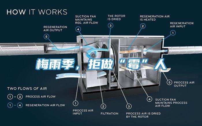 梅雨季，拒做“霉”人