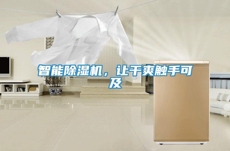 智能除濕機，讓干爽觸手可及
