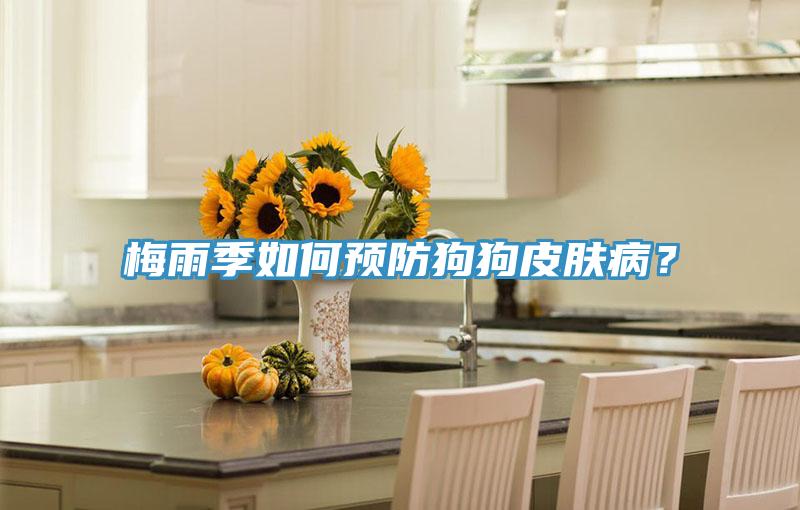 梅雨季如何預(yù)防狗狗皮膚?。?></div>
								<div   id=