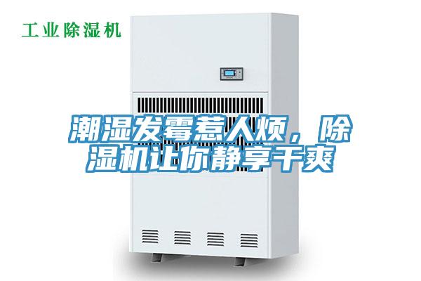 潮濕發(fā)霉惹人煩，除濕機(jī)讓你靜享干爽