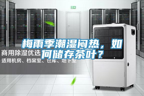 梅雨季潮濕悶熱，如何儲存茶葉？