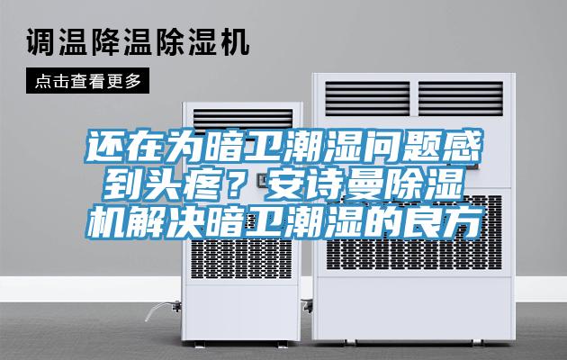 還在為暗衛(wèi)潮濕問題感到頭疼？安詩曼除濕機解決暗衛(wèi)潮濕的良方