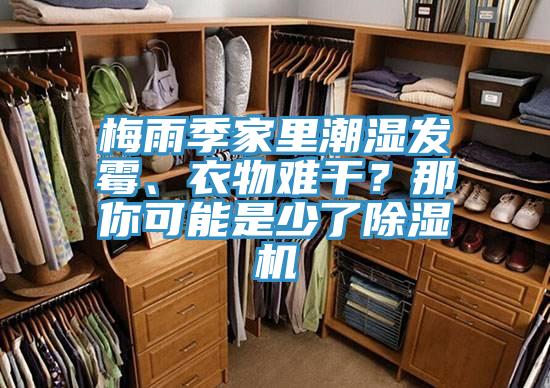 梅雨季家里潮濕發(fā)霉、衣物難干？那你可能是少了除濕機