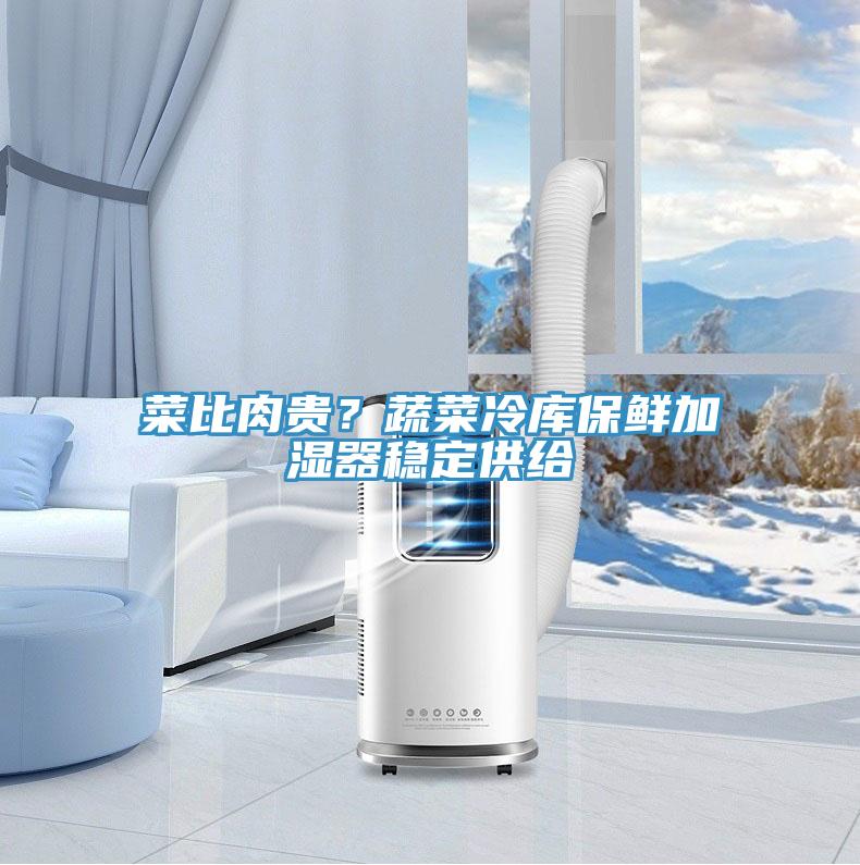 菜比肉貴？蔬菜冷庫保鮮加濕器穩(wěn)定供給