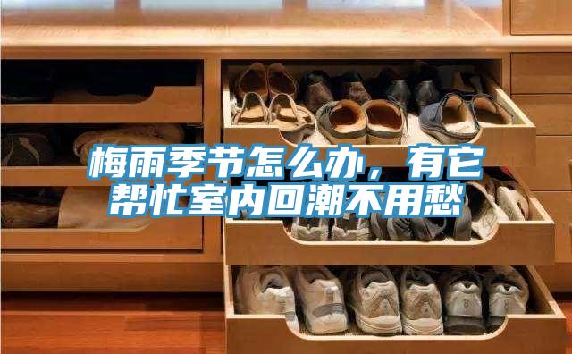 梅雨季節(jié)怎么辦，有它幫忙室內(nèi)回潮不用愁