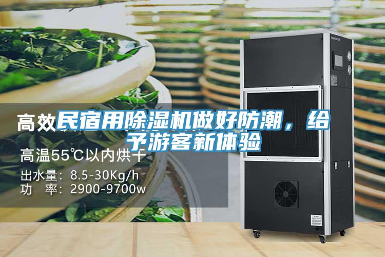 民宿用除濕機做好防潮，給予游客新體驗