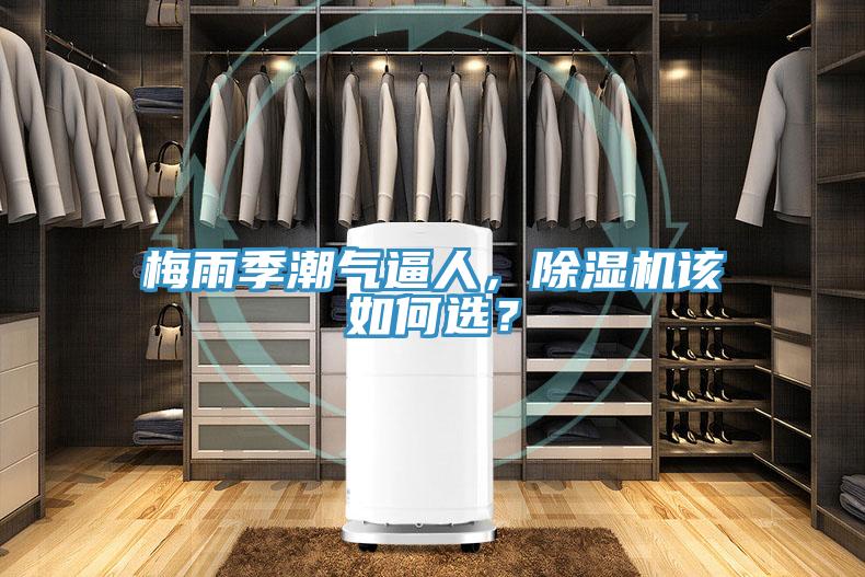 梅雨季潮氣逼人，除濕機(jī)該如何選？