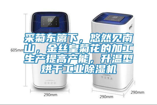 采菊東籬下，悠然見南山，金絲皇菊花的加工生產(chǎn)提高產(chǎn)能，升溫型烘干工業(yè)除濕機