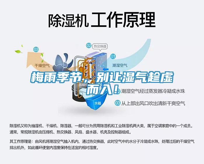 梅雨季節(jié)，別讓濕氣趁虛而入！