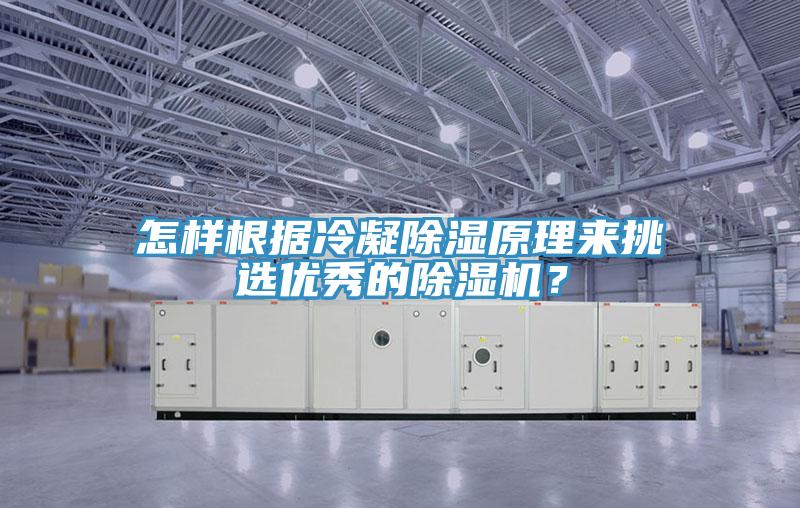 怎樣根據(jù)冷凝除濕原理來(lái)挑選優(yōu)秀的除濕機(jī)？