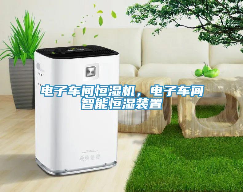 電子車間恒濕機(jī)，電子車間智能恒濕裝置