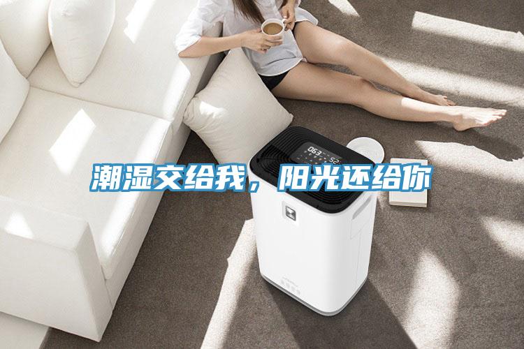 潮濕交給我，陽光還給你