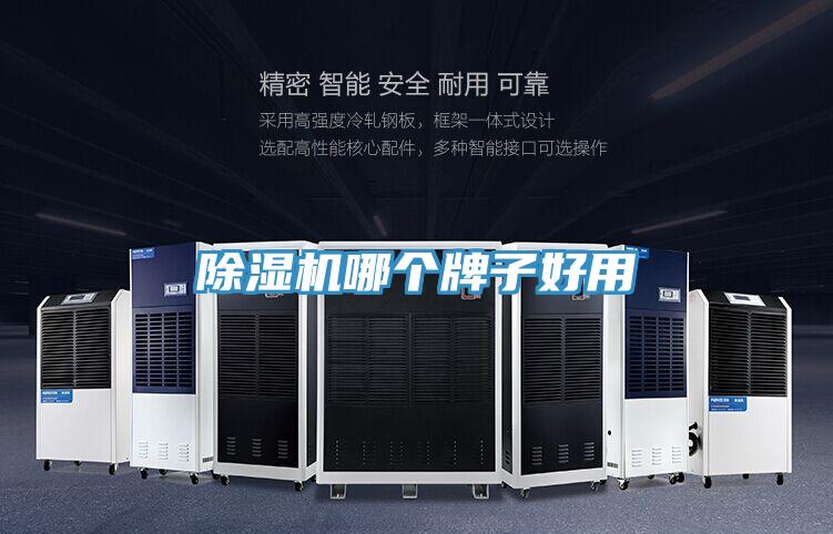 除濕機(jī)哪個牌子好用