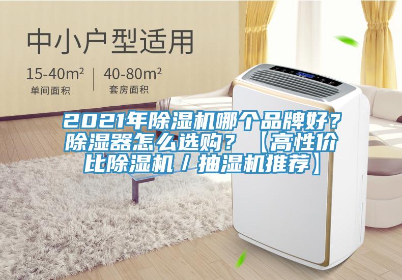 2021年除濕機哪個品牌好？除濕器怎么選購？【高性價比除濕機／抽濕機推薦】