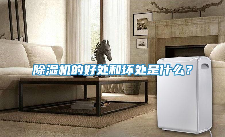 除濕機(jī)的好處和壞處是什么？