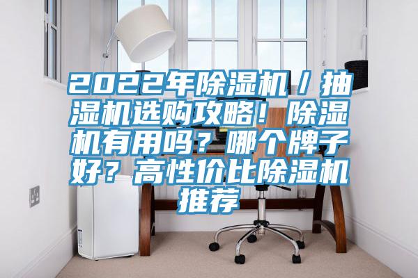 2022年除濕機／抽濕機選購攻略！除濕機有用嗎？哪個牌子好？高性價比除濕機推薦