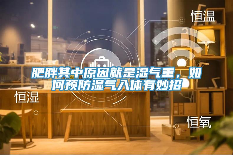 肥胖其中原因就是濕氣重，如何預(yù)防濕氣入體有妙招