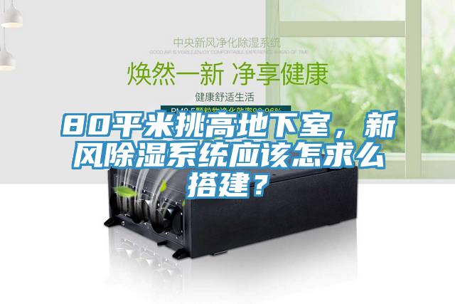 80平米挑高地下室，新風(fēng)除濕系統(tǒng)應(yīng)該怎求么搭建？