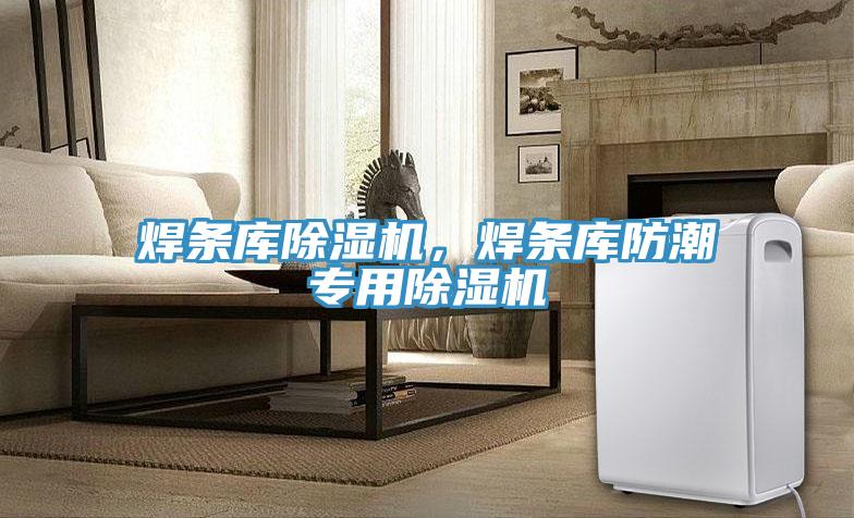 焊條庫除濕機(jī)，焊條庫防潮專用除濕機(jī)