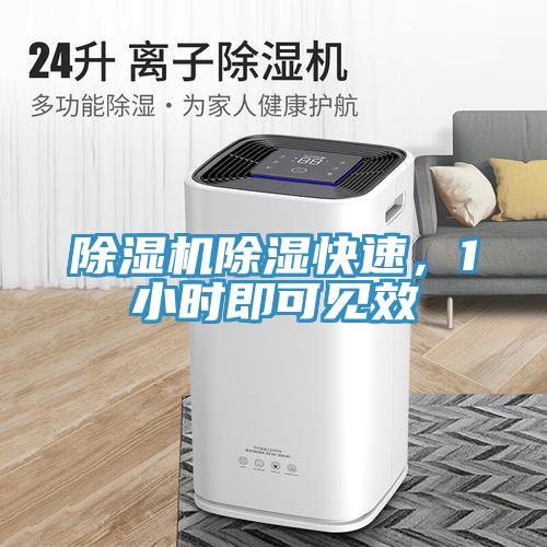 除濕機除濕快速，1小時即可見效