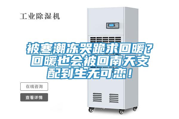 被寒潮凍哭跪求回暖？回暖也會被回南天支配到生無可戀！