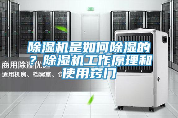 除濕機(jī)是如何除濕的？除濕機(jī)工作原理和使用竅門(mén)