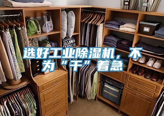 選好工業(yè)除濕機，不為“干”著急