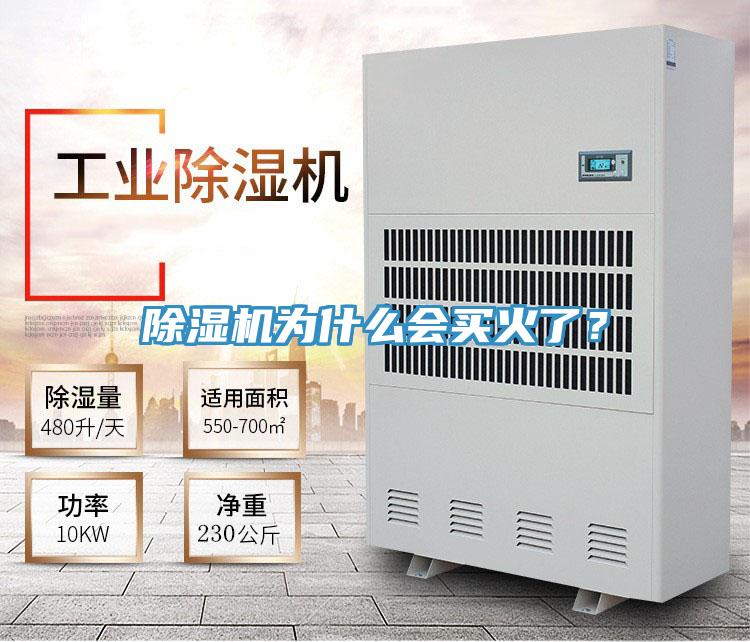 除濕機(jī)為什么會(huì)買火了？