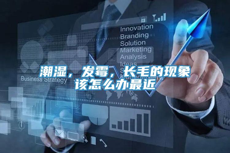 潮濕，發(fā)霉，長毛的現(xiàn)象該怎么辦最近