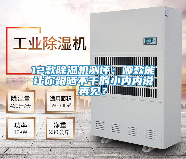 12款除濕機(jī)測評：哪款能讓你跟曬不干的小內(nèi)內(nèi)說再見？