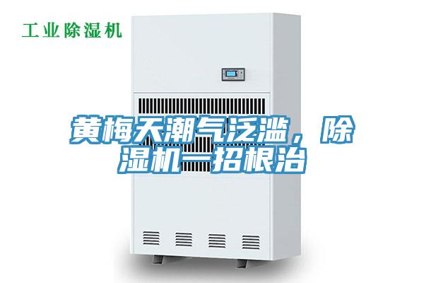 黃梅天潮氣泛濫，除濕機(jī)一招根治